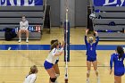 Women’s VB intersquad  Women’s Volleyball inter-squad match. : Women’s Volleyball, VB, inter squad, intersquad